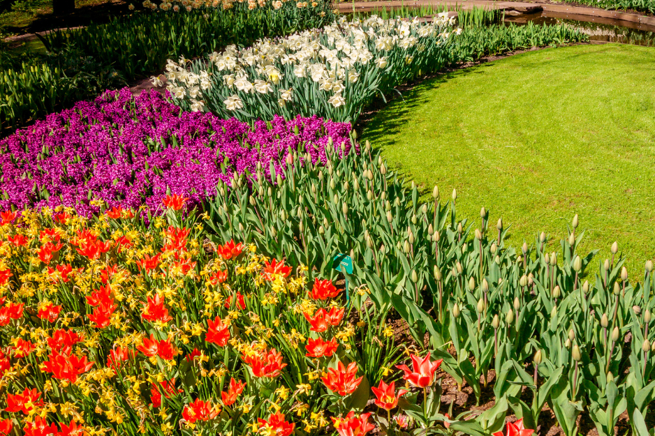 Rasen- und Gartenpflege