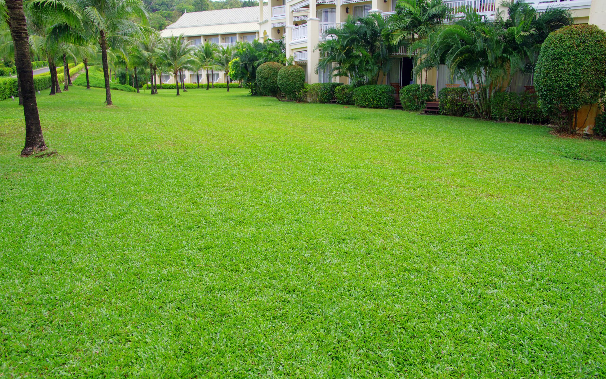Rasen- und Gartenpflege