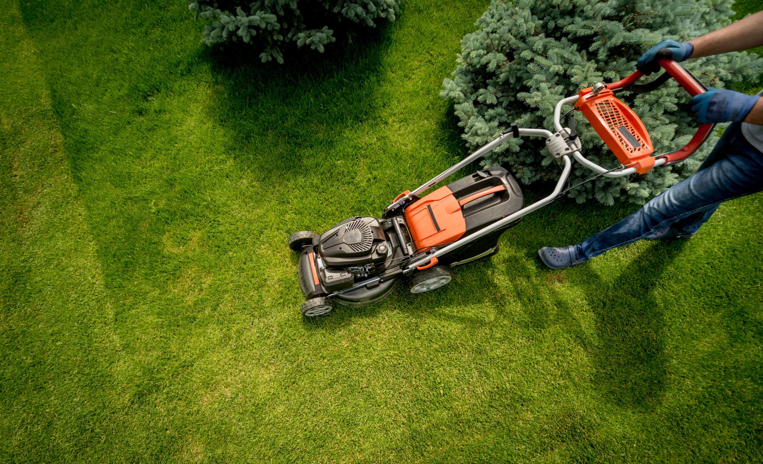 Rasen- und Gartenpflege